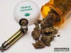 <b>杏耀平台,医用大麻的利弊</b>