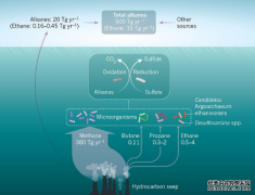 <b>杏耀,难以捉摸的微生物消耗海洋中发现的乙烷</b>