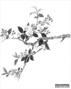 <b>杏耀平台,春日里遇见一场不可或缺的诗词盛会</b>