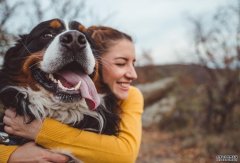 <b>爱狗可能是你的基因决定的杏耀登录地址</b>