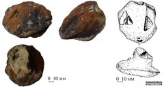 <b>杏耀平台8300年历史的石蛇头揭示了石器时代的仪</b>