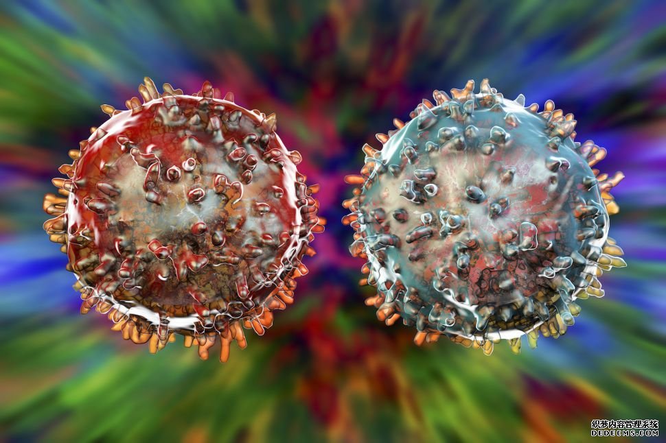 杏耀资金稳不稳 流氓“免疫细胞X”是一种全新的细胞类型。它可能引发1型糖尿病。