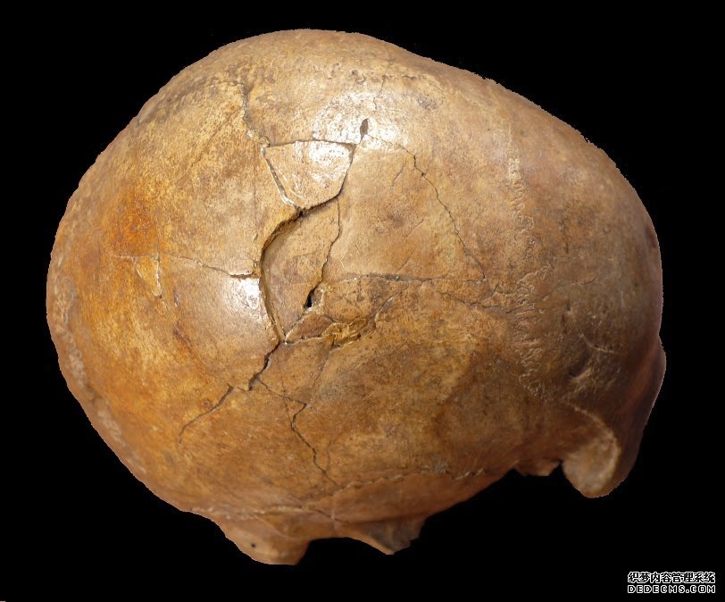 杏耀玩家注册 结案:科学家将3.3万年前的谋杀案归咎于一名旧石器时代的左撇子杀手