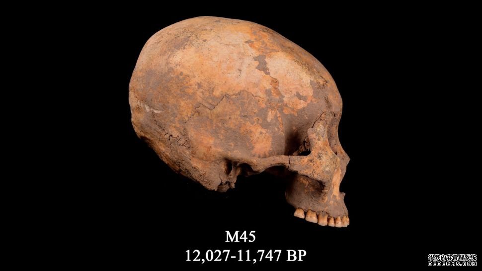 杏耀玩家注册 12000年前，一个男孩的头骨被压成锥形。这是这种头部塑造最古老的证据。
