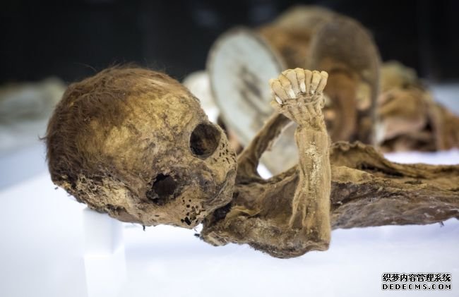 杏耀平台登录官网 “外星人”木乃伊引发DNA争议
