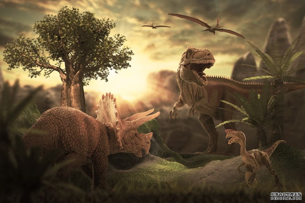 杏耀注册主管 进化会把恐龙带回来吗?