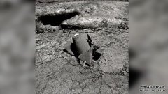 <b>杏耀QQ1935年，一名徒步旅行者在莫纳罗亚火山发</b>