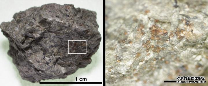 40亿年前在火星陨杏耀app石中发现的含氮有机分子