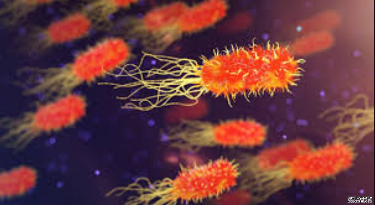 杏耀软件陆生细菌可以靠来自太空的营养物生长