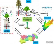<b>科学家揭示了区域耦合碳-氮杏耀网址-水循环过程</b>