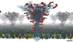 <b>科学家首次建立了COVID-19杏耀注册全长蛋白的开源</b>