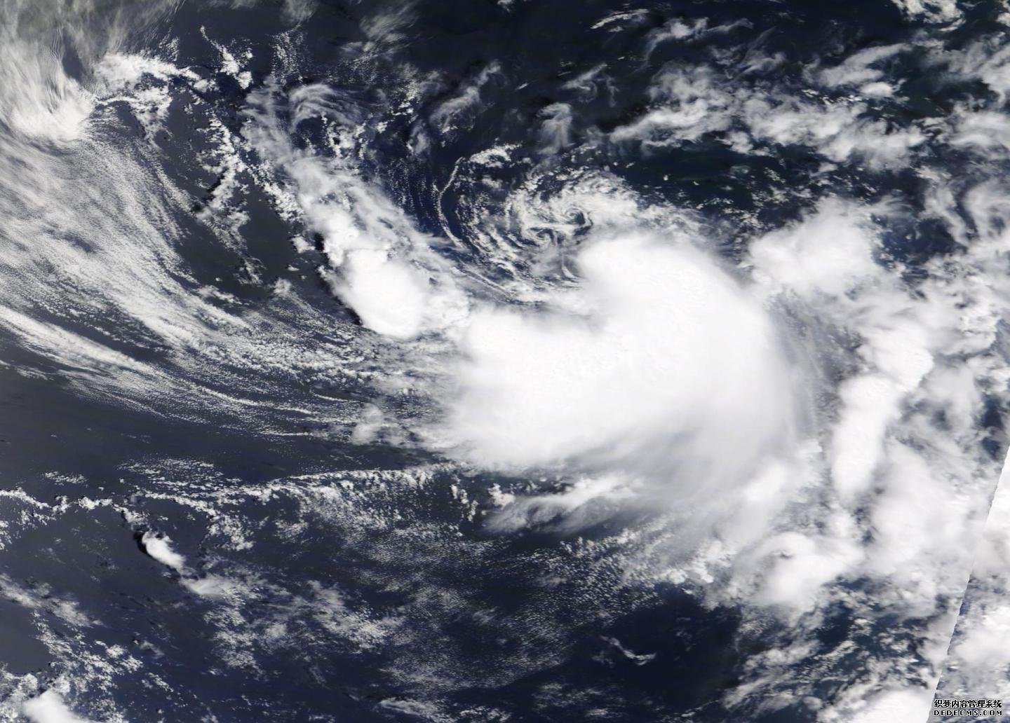 杏耀下载app美国宇航局卫星向热带风暴多利打了招呼