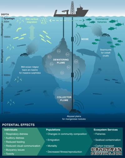 杏耀的信誉科学家呼吁要谨慎，进一步评估深海采矿对生态的影响