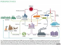 <b>COVID-19为研究自然和杏2杏耀人类系统提供了难得</b>