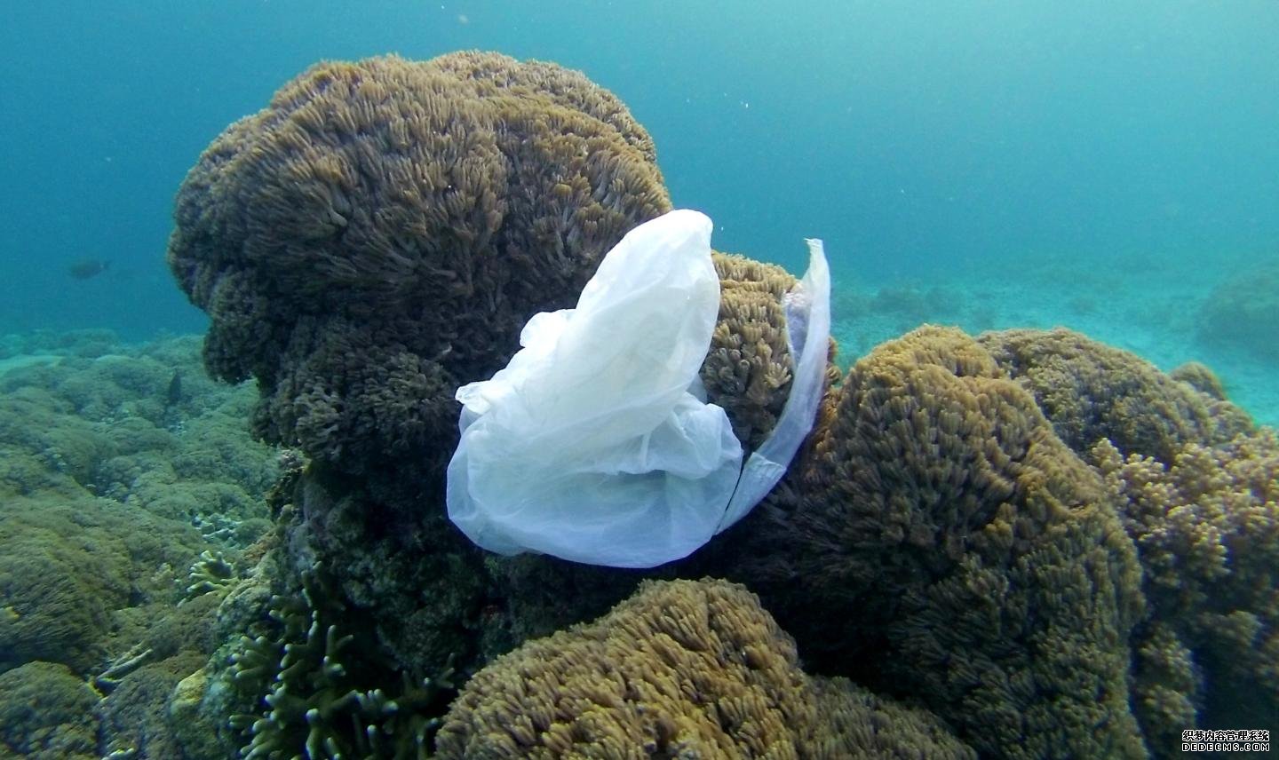 杏耀拿代理表面清理技术不能解决海洋塑料问题