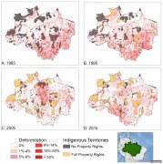 <b>杏耀信任度土著产权保护了亚马逊雨林</b>