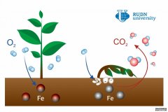 <b>杏耀鲁丁的一位土壤科学家说，铁是土壤二氧化</b>