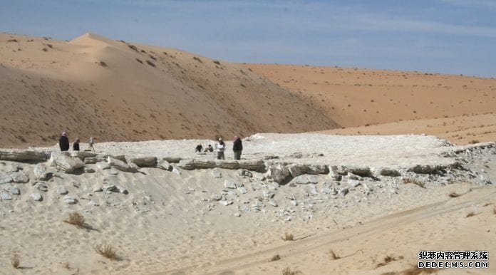 杏耀网址古人类在沙特阿拉伯的足迹让我们得以一瞥12万年前的阿拉伯生态