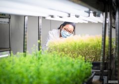 <b>科学和科学家杏耀拿代理受到全球公众的高度尊</b>