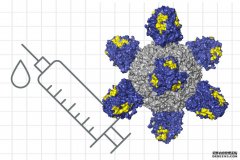 <b>向通用流感疫苗迈进了一步杏耀连接</b>