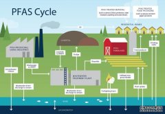 <b>杏耀ylPFAS:这些“永久化学品”毒性很高，研究不</b>