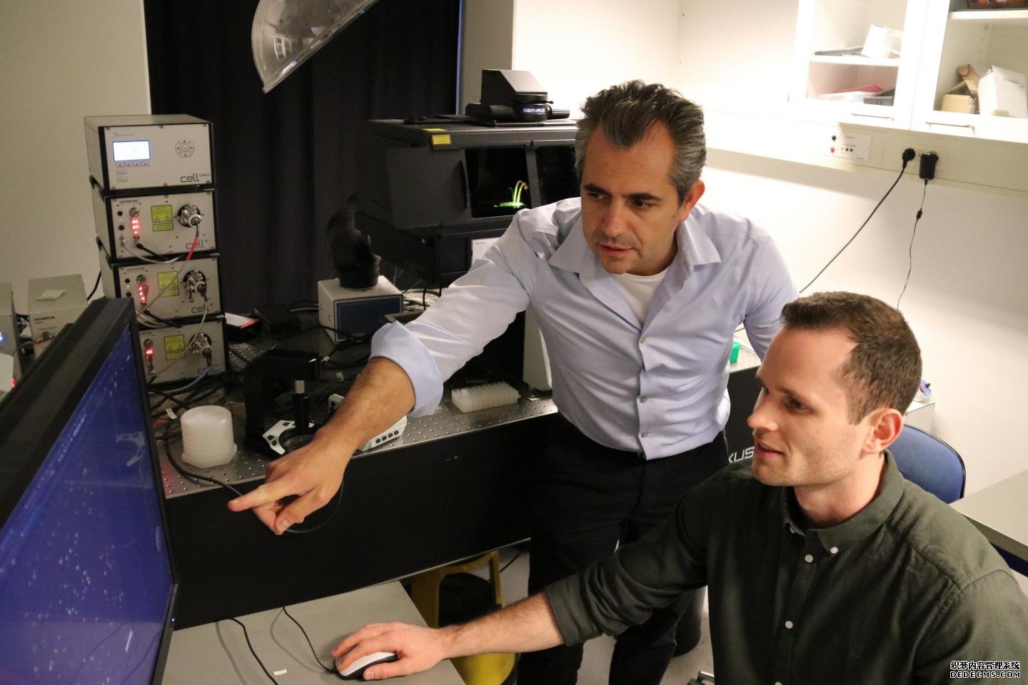 新的丹麦人工杏耀主管智能工具为世界各地的蛋白质科学家提供了急需的帮助