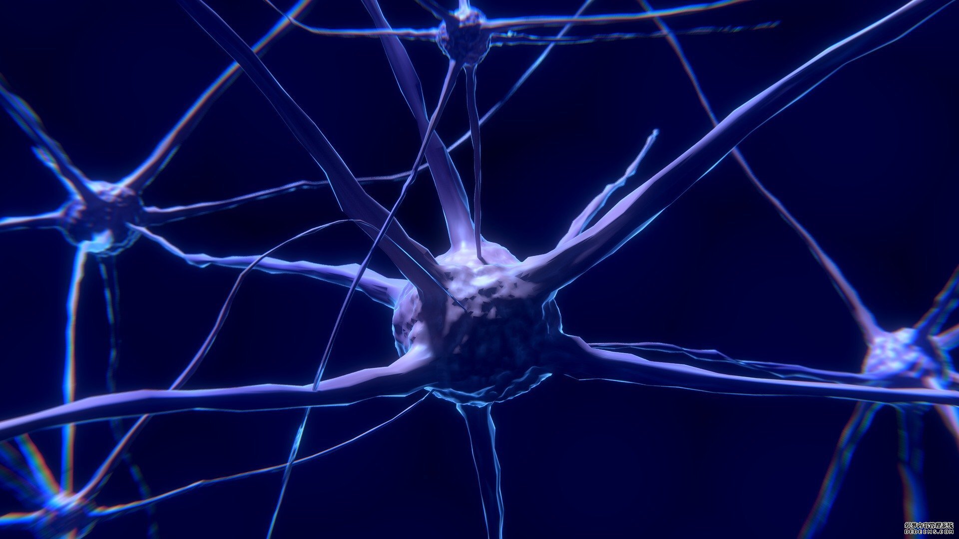 UTSA研究团队在杏耀游戏玩家大脑皮层功能方面取得突破性发现