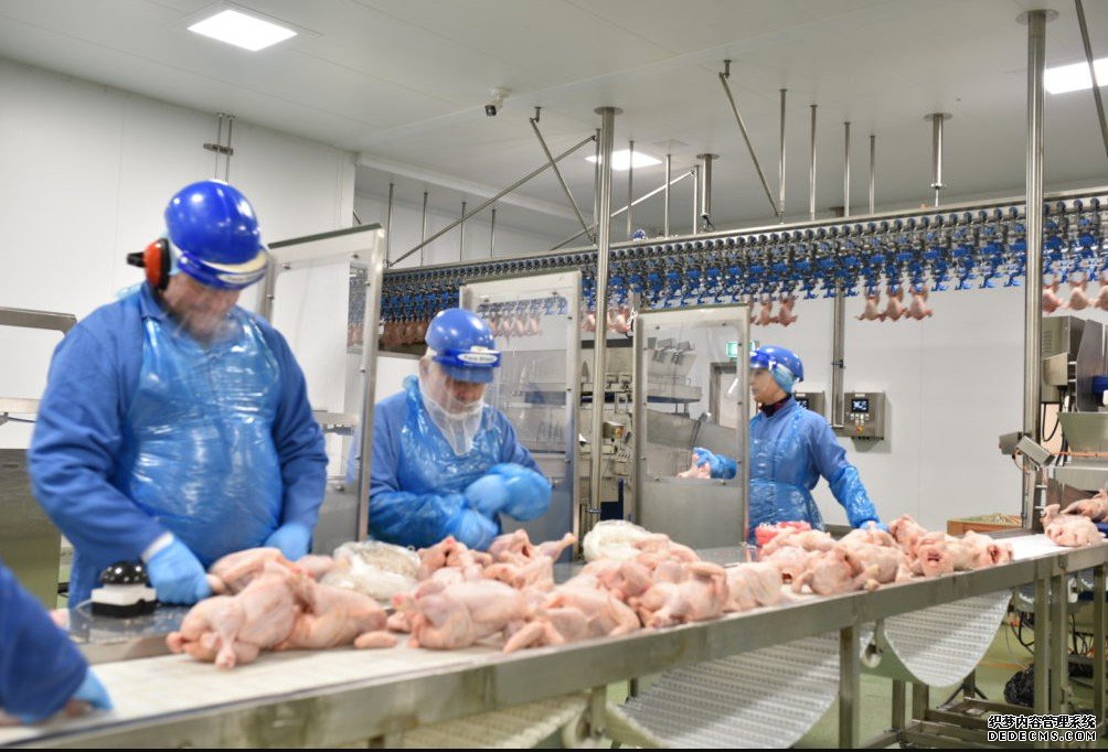 杏耀挂机软件研究发现，英国消费者不喜欢牛肉和氯洗鸡肉中的激素
