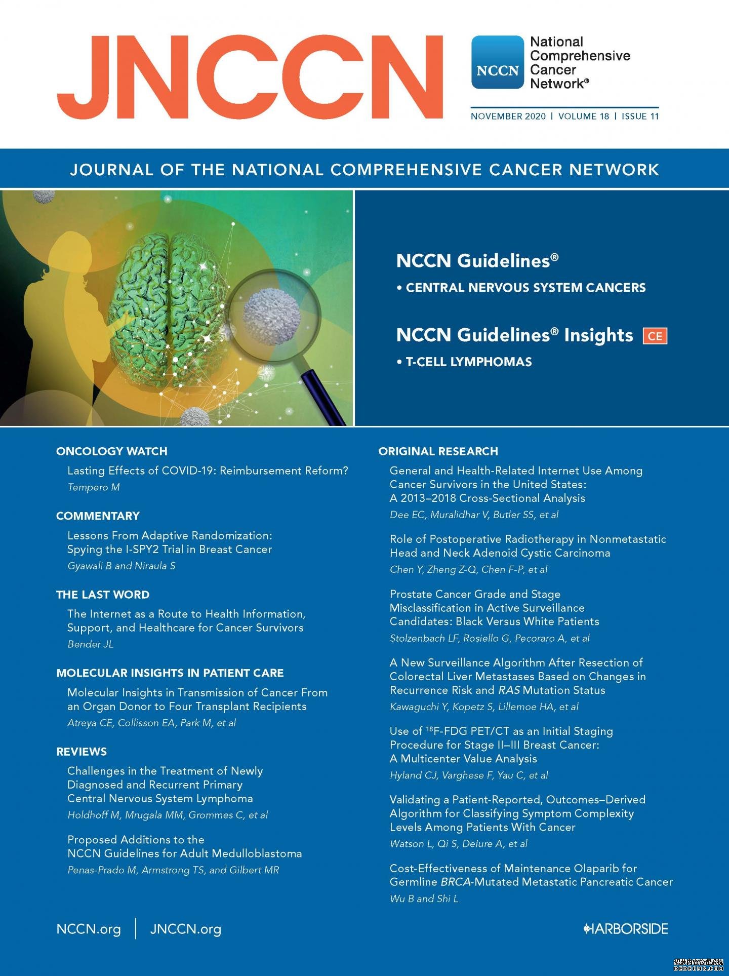 杏耀挂机软件JNCCN研究评估奥拉帕尼治疗转移性胰腺癌的成本-效果