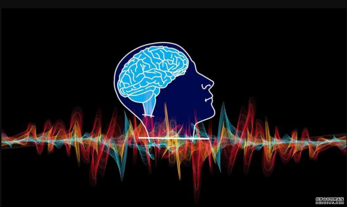 用磁性脑杏耀代理电波来检测损伤和疾病