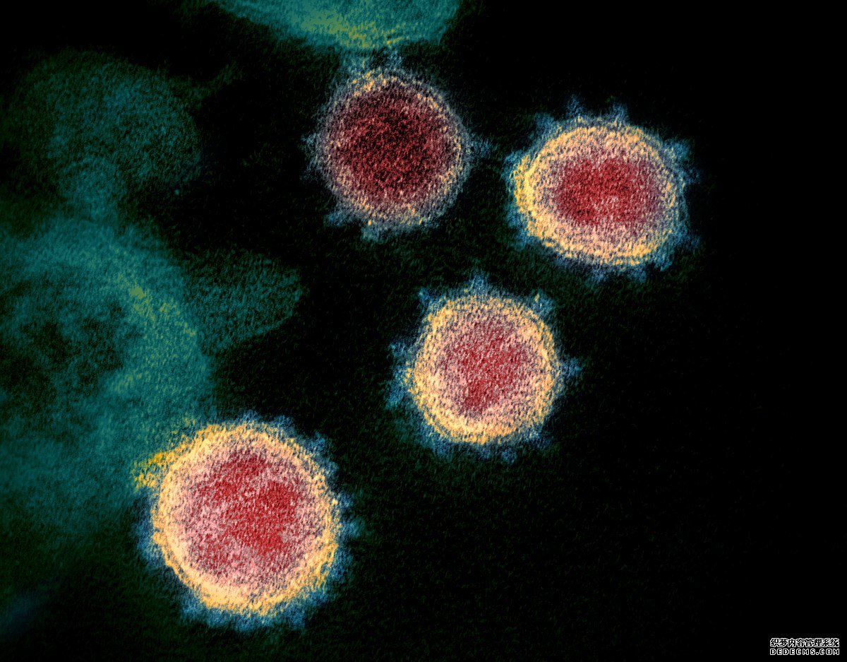 可靠的COVID-19检测杏耀可减少病毒传播