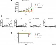 Oncotarget:用cd45定向杏耀流水的抗体放射结合物靶