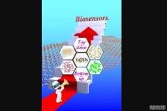 <b>石墨烯量子点及其在生物杏耀代理传感器中的应</b>