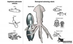 <b>乌贼启发的杏耀机器人与自然界最高效的海洋动</b>