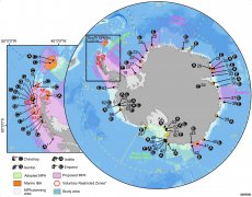 <b>研究表明，海洋保护杏耀区网络可以帮助保护南</b>
