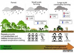 <b>商品农业加速了亚马逊百度杏耀雨林的气候变化</b>
