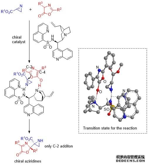 新型催化剂的不对称合成有助于开发新杏耀平台主管型药物