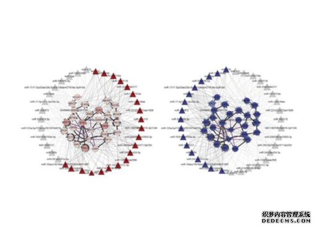 科学家构杏耀注册建空间转录组测序新方法