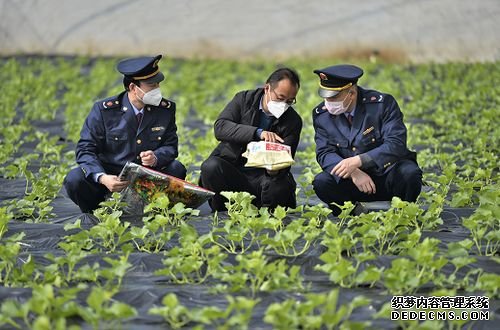 甘肃省部署农杏耀平台资打假专项治理行动