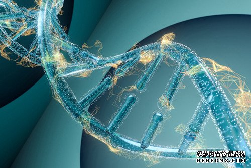杏耀平台DNA测序：一个都不能少