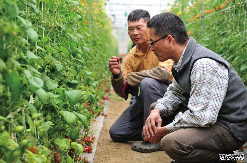 杏耀注册“健康中国”座谈会：生态农业才是健康希望