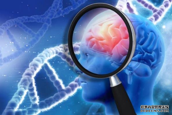基因变异可使老人杏耀平台大脑老化速度超同龄人12年