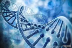 <b>非编码RNA助杏耀注册力组织工程新发展</b>