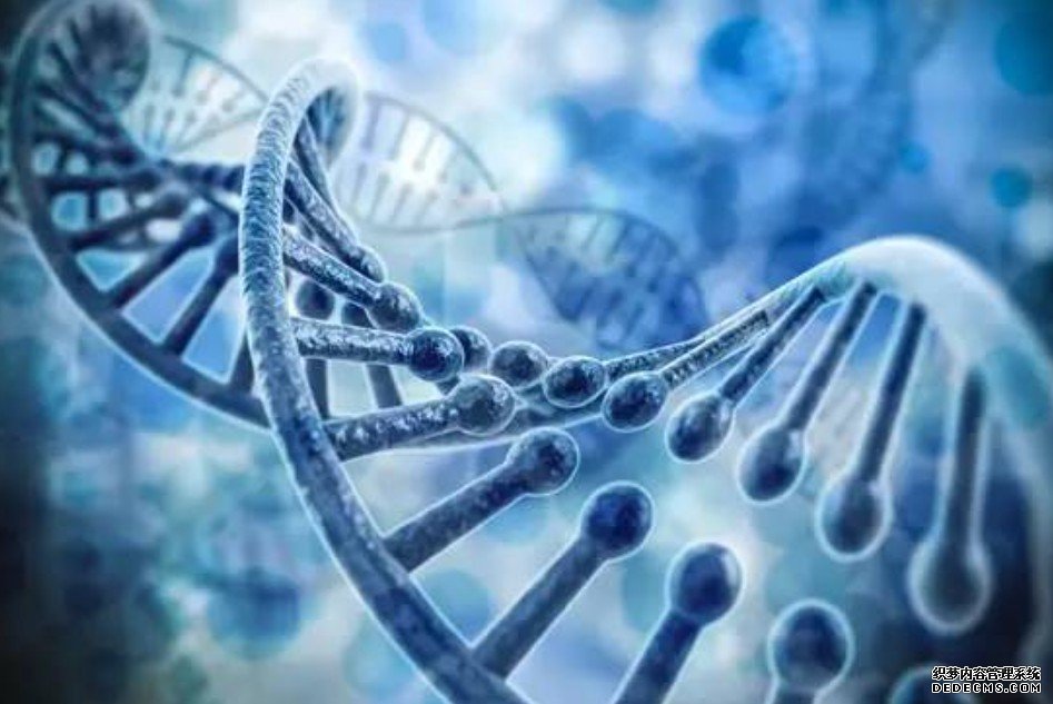 非编码RNA助杏耀注册力组织工程新发展