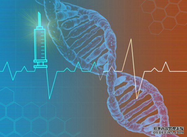 杏耀代理研究揭示“撞墙期”的科学