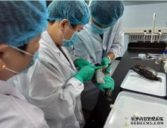 <b>陕西一大学杏耀代理生疑因解剖鸽子感染脑膜炎</b>