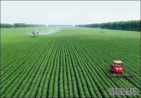 农业部启动“十杏耀平台三五”现代农业产业技术体系