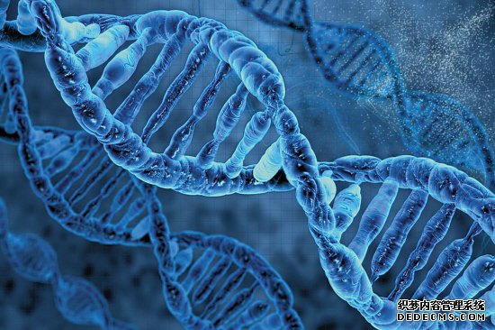 杏耀代理《自然》证实：编辑人类早期胚胎DNA安全有效