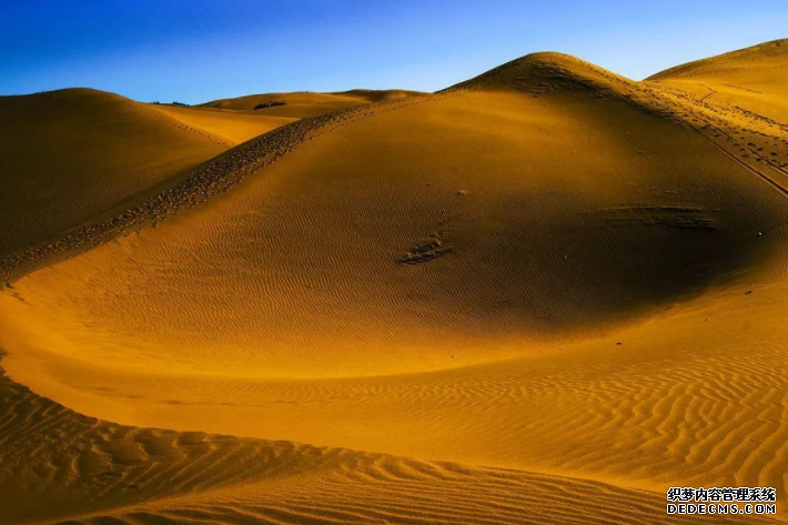 科学家记录加州沙漠变化的壮志雄心杏耀代理