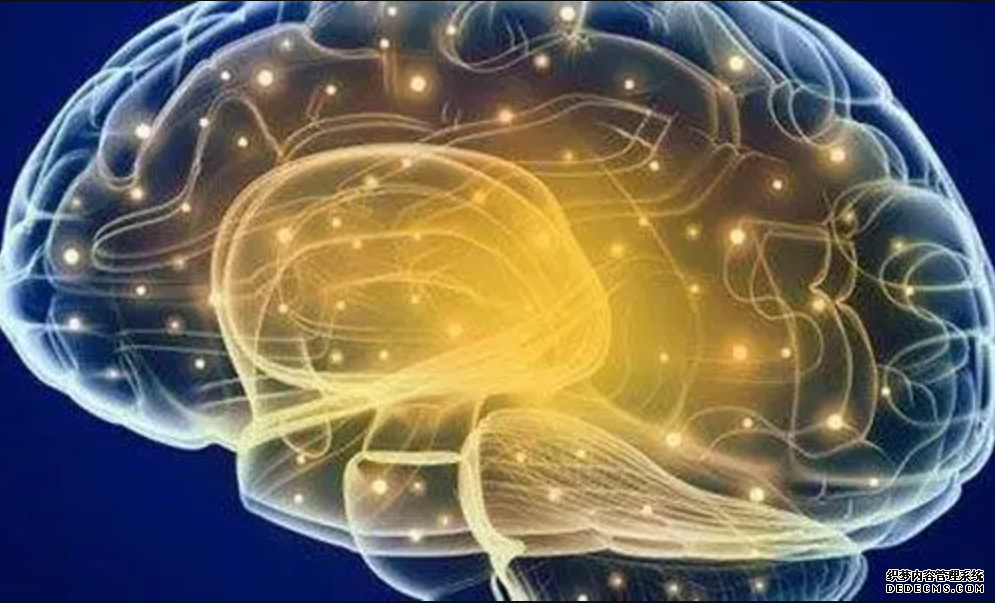 新研究说大脑中海马体杏耀平台也参与情绪调节